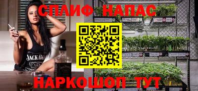 СК Пугачёв