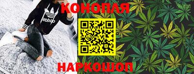 СК Пугачёв