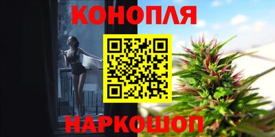 СК Пугачёв