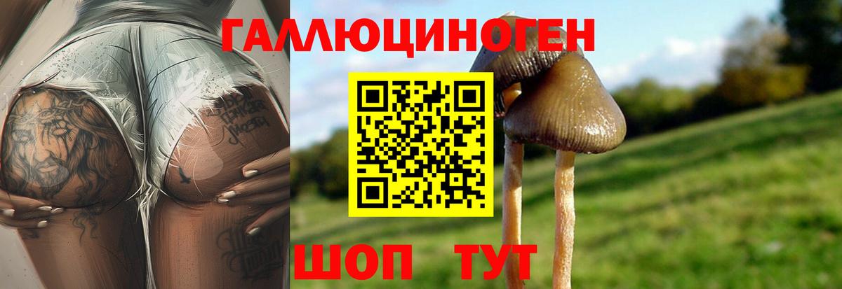 Псилоцибиновые грибы мухоморы  Вход с VPN  Усть-Лабинск 